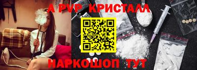 крисы Боровичи